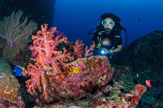 Girl and softcoral