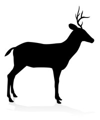 Deer Animal Silhouette