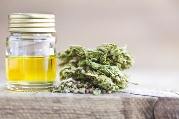 cannabis cbd product oil and hemp seeds