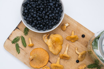 fresh from the forest