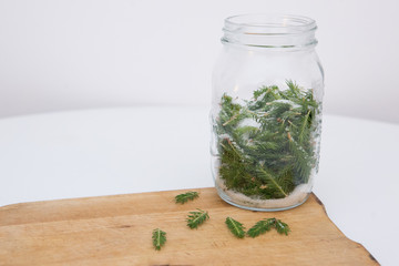 fresh pine in the glass jar, ready for winter