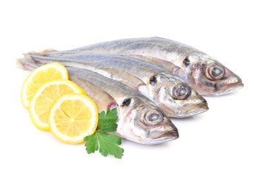 Fish horse mackerel