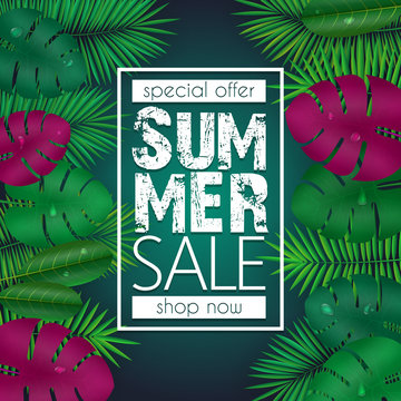Summer sale banner, poster template with palm leaves and jungle leaf . Floral tropical summer background.