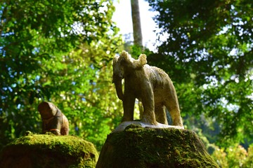 Old elephant figurine in the forest