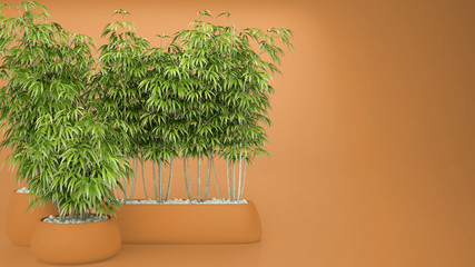 Empty orange colored interior with potted bamboo, natural interior design concept, green idea with copy space