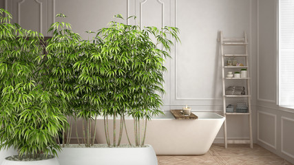 Zen interior with potted bamboo plant, natural interior design concept, scandinavian bathroom, white minimalistic design, hotel spa resort