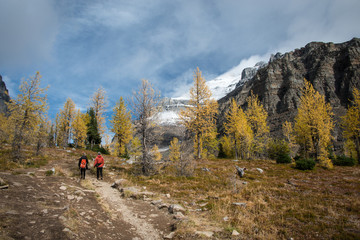 Fototapeta na wymiar Hiking in the Valley of the Ten Peaks, Banff National Park, Canadian Rockies