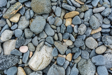 pebble at the beach