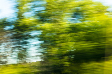 Nature in motion from the train window