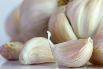 Closeup garlic on white background. Ingredients for cooking.