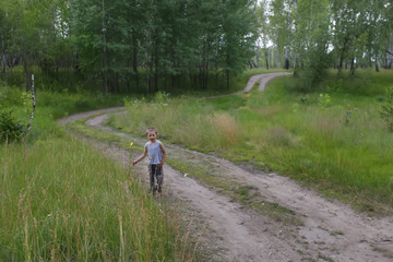 Obraz premium Little boy on a forest road on a summer day