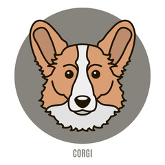 Portrait of Corgi. Vector illustration in style of flat