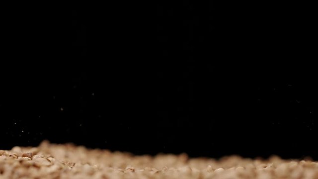 MACRO: Light explosion of buckwheats on a black background - Slow motion