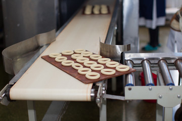 Industrial line for the production of cookies