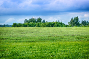 Fototapeta premium Very beautiful summer countryside.