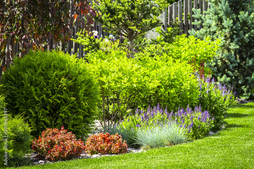 Wall mural a flower garden in the backyard in the summer.