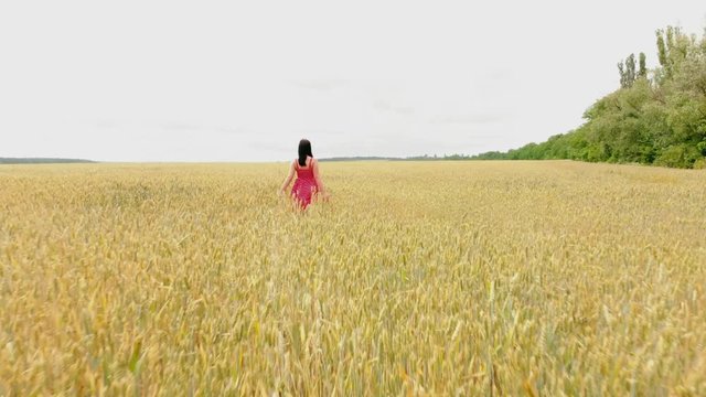 Beautiful girl in red retro dress running in golden field. Freedom concept. Happy woman outdoors. Harvest, agriculture concept. Aerial flight over wheat field