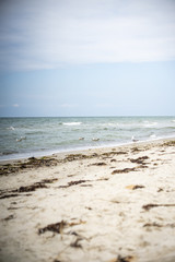 Ostsee genießen auf dem Darß