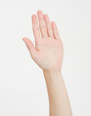 hand isolated on white.Voting hand. Mock up. Copy space. Template. Blank.