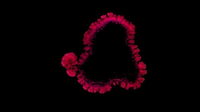Drop drying with crystals growth. Time lapse of crystallization process under microscope. Separated on pure black background, contains alpha channel.