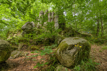 Basaltfels 5