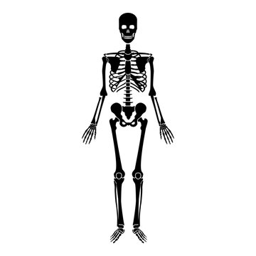 Human skeleton icon black color illustration flat style simple image