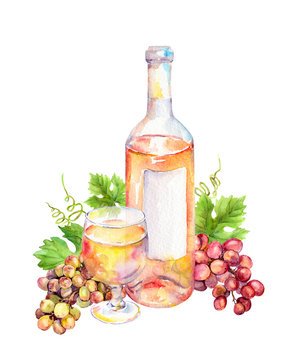Wine glass, bottle of pink wine with vine leaves and grape berries. Watercolor