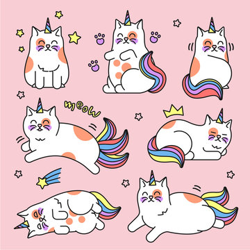 Cat unicorn set