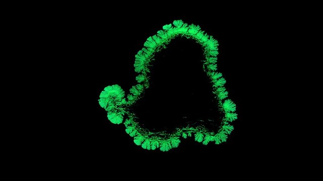 Drop drying with crystals growth. Time lapse of crystallization process under microscope. Separated on pure black background, contains alpha channel.