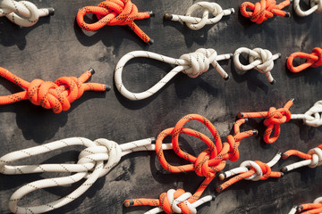 Many types of knots demonstrated on a learning display. Various methods of fastening and securing ropes