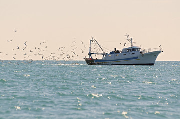 Fishing boat followed by seagulls