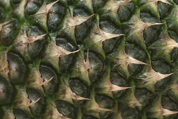 Green Pineapple Natural Texture