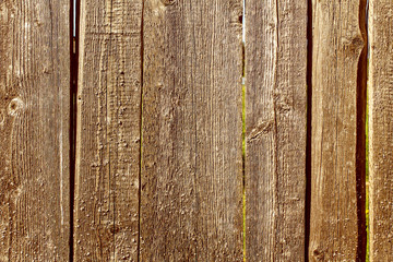 Fence texture of boards