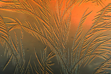 Gold frost drawings on the glass as a background
