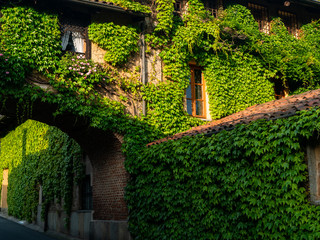 House with wall and arch in bricks covered with ivy, and old wooden windows, Italy