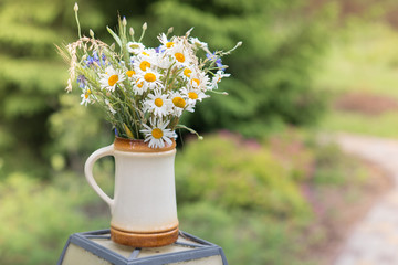 Midsummer in Latvia: celebration of Ligo in june decorating home with field flower bouquet