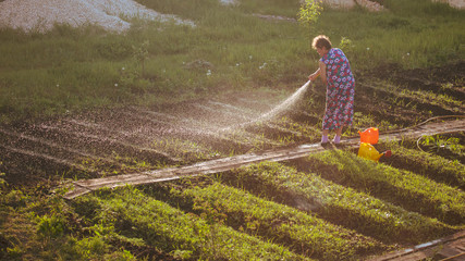 Woman watering the garden with a hose