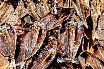 Fish to dry in the sun