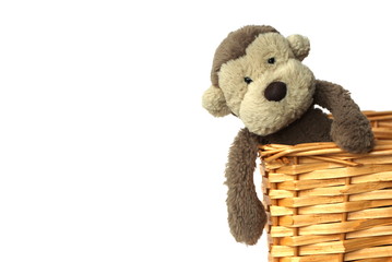 A plush soft toy monkey sitting in a basket with a white background isolated