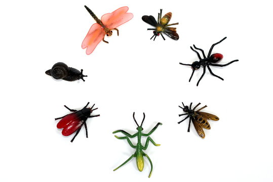 A circle of plastic toy bugs / minibeasts
