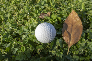 A golf ball is on green golf course
