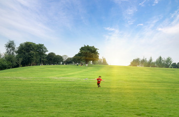 Children are flying on the grass in the public park
