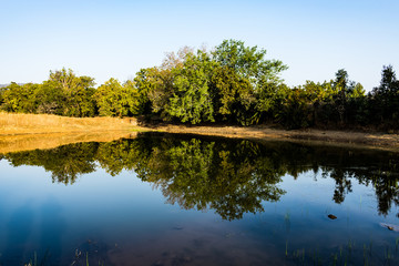 A small pond view with tree shadow near of pond.