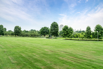 Green lawn in urban public park