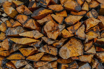 A stack of pine logs is ready for use. The firewood lies exactly in a row. logs have different shapes.