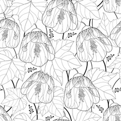 Vector seamless pattern with outline black Abutilon or Indian mallow flower and leaf on the white background. Floral background in contour with tropical Abutilon for summer design or coloring book.