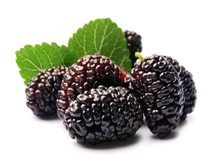 Mulberry fruits with leafs .