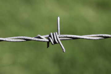 Barbed Wire