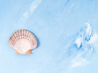 Single big seashell on blue stone background, scallop shell, copy space. Minimalistic summer concept of holiday by sea