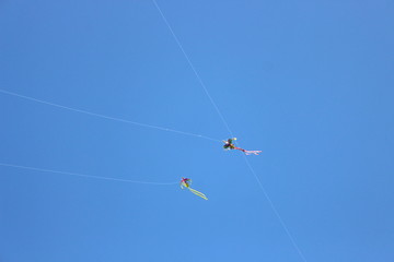 Kite in the sky
